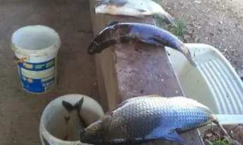 Imagem 4: Locação de Rancho em Três Maria na Beira do rio São Francisco