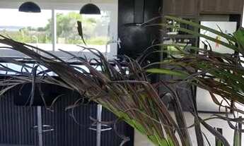 Imagem 5: Ótima Casa com 4 Dormitórios em Condomínio Fechado