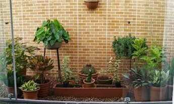 Imagem 2: Alugo belíssima casa 3 quartos com piscina