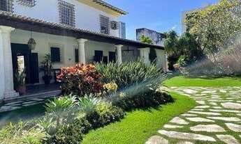 Imagem: Casa com 6 dormitórios para alugar, 739