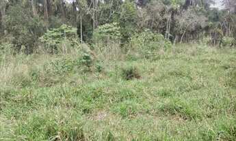 Imagem 7: Terreno Para Chácara