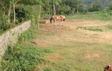 Imagem 6: Sitio com 32.000m² porteira fechada