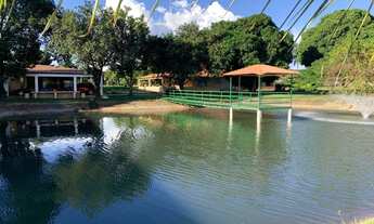 Imagem 2: Vendo chácara no incra 6 formada 38.000m2