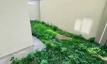 Imagem 2: Apto Com Quintal 2 Qts 1 Locação 1Min Est De Trem Prest1268 Posse Imediata P-Financiamento