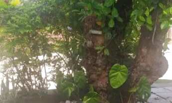 Imagem 4: Belíssima casa para locação com 3 quartos em Aldeia