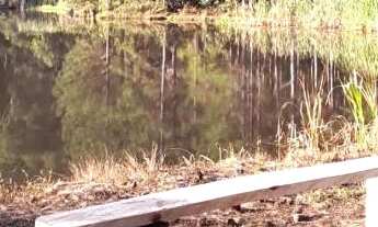 Imagem 6: Sítio à venda no Rio das Pedras, em Apiaí/SP 12 alqueires