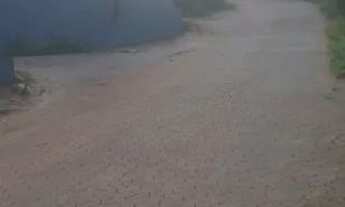 Imagem 2: Terreno, Lote em Marechal Floriano