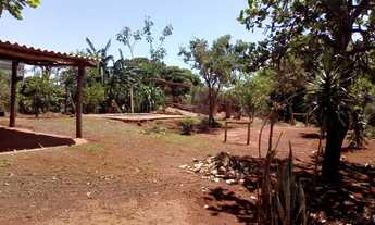 Imagem 4: Vendo lote estilo chacrinha no indobrasil