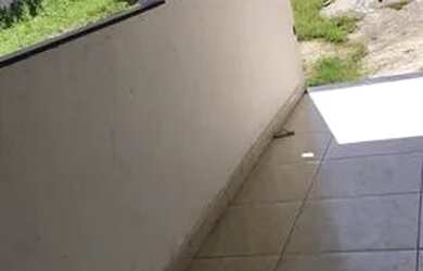 Imagem 6: Aluguel de casa Casa com 3 dormitórios