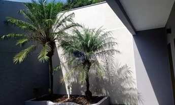 Imagem 7: Locação de Apartamentos / Kitnet na cidade de Araraquara