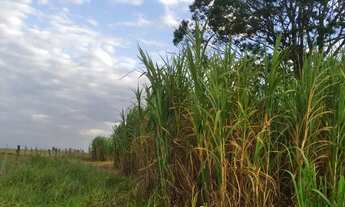 Imagem 6: Sítio de 18 hectares