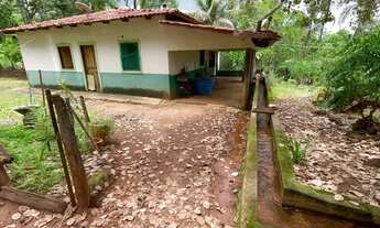 Imagem 4: Vende-se chácara de 16 mil metros em Trindade-GO