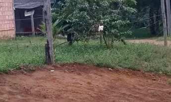 Imagem 4: Vendendo essa casa 65 mil