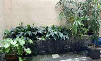 Imagem: Apartamento - / Residencial / Botafogo