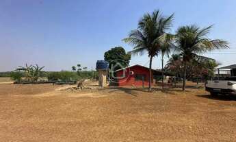 Imagem 7: FAZENDA COM 960 HECTARES, 551 PLANTACAO DE SOJA