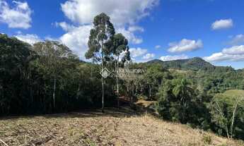 Imagem 6: Área Pinhal Alto- Nova Petrópolis/RS