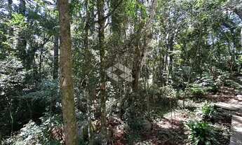 Imagem 7: Terreno a Venda em Canela