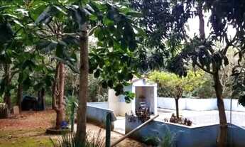 Imagem 5: Vendo ótima chácara no núcleo rural vale verde em Planaltina-DF