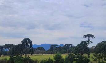 Imagem 4: Piraquara - Area de 20.000m2