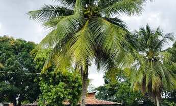 Imagem 4: Chácara Completa - R$ 590 - Plano 12h ou 24h