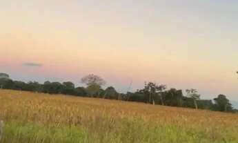 Imagem: Fazenda a venda, em São Domingos / Goiás!