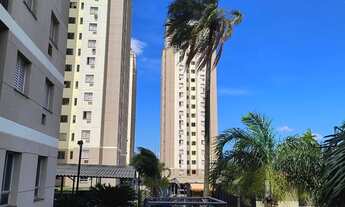 Imagem: Apartamento impecável Res Bela Vista (Alto