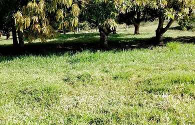 Imagem 4: Vende -se terreno Capela -Sergipe