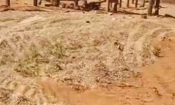 Imagem 6: Vende-se uma excelente fazenda de 1.100 hectares