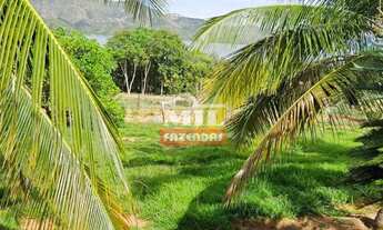 Imagem 3: Chacara 4 hectares Niquelandia - GO