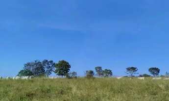 Imagem 6: A&M IMOVEIS VENDE EXELENTE FAZENDA COM 180HECTARES EM PARACATU MG