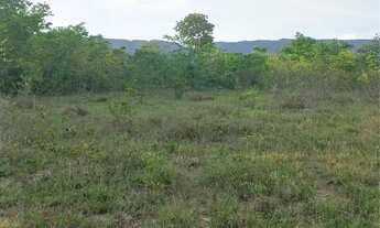 Imagem: FAZENDA ABENÇOADA - OPORTUNIDADE ÚNICA