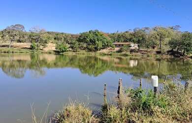 Imagem 5: Fazenda à venda 535 alqueires Vila Propício-GO