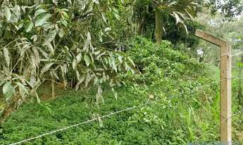 Imagem 7: TERRENO - ITRAPOÁ - SP