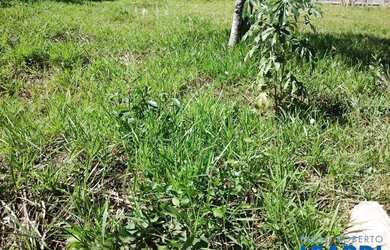 Imagem 5: TERRENO - CHÁCARAS SILVANIA - SP