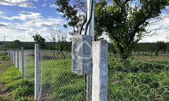 Imagem 3: TERRENO GRANDE - 7.080M2 - CERCADO