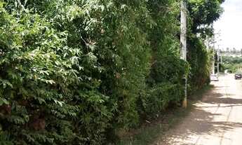 Imagem 4: Chacara Jurumirim 2600 metros