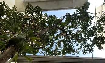 Imagem 5: Casa Comercial a venda em Perdizes