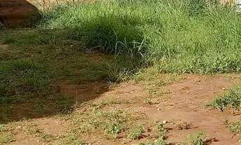 Imagem 3: LOTE 300M² BRISAS DA MATA,GOIÂNIA