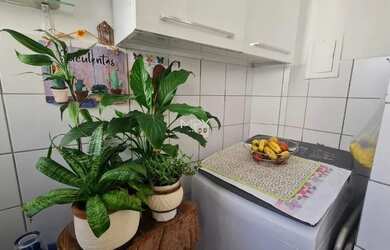 Imagem 6: Apartamento à venda em Piracicaba, Jardim Elite, com 2 quartos, com 48 m²