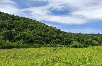 Imagem 4: Pré-Lançamento de Terrenos em Ibiúna com Condições Especiais
