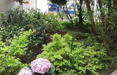 Imagem 4: Imóvel para aluguel possui 45 metros quadrados com 1 quarto em Perdizes - São Paulo - SP