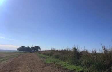 Imagem 2: Fazenda Anápolis 20 alqueires