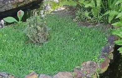 Imagem 6: CASA A VENDA EM CONDOMÍNIO -LAURO DE FREITAS /BA