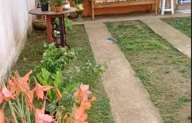 Imagem 4: CASA À VENDA | VALE DOS IPÊS BAIRRO DE FÁTIMA