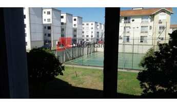 Imagem 4: Maravilhoso apto 2 dorm Mato Grande