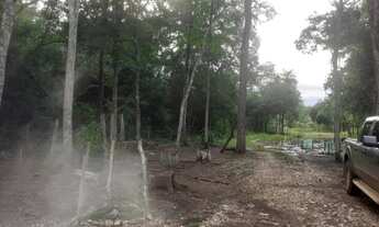 Imagem 5: Vendo Chácara em Bonito 35km da cidade