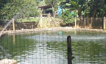 Imagem 5: Chacara em Garuva Vendo ou Troco