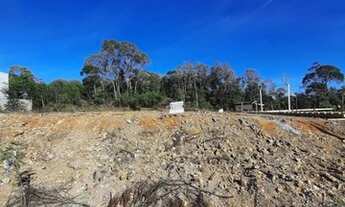 Imagem 1: CAXIAS DO SUL - Terreno Padrão - DIAMANTINO