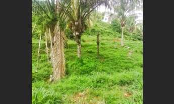 Imagem 2: Fazenda em Aparecida do Rio Negro. 67 mil o alqueire