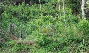 Imagem 3: Área nobre de 12.000 m² no inicio da Subida para o morro do Cristo